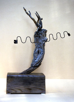 GAIA No.119, 2002